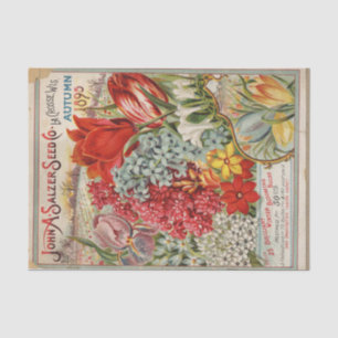 Papel De Seda Catálogo de Sementes Antigas 1895 Bulbos de Invern
