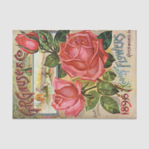 Papel De Seda Catálogo de Sementes Antigas 1896 G.R. Gause