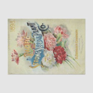 Papel De Seda Catálogo de Sementes Antigas 1898 Pacific Strong S