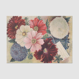 Papel De Seda Catálogo de Sementes Antigas Cosmos, Petúnias, Ást