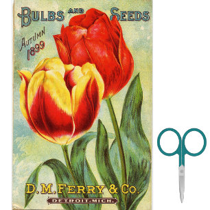 Papel De Seda Catálogo de Sementes Antigo D.M. Ferry Outono 1899
