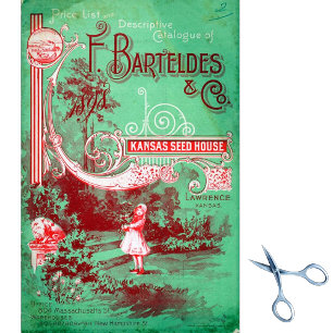 Papel De Seda Catálogo de Sementes da Vintage Barteldes Kansas S