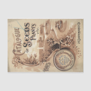 Papel De Seda Catálogo de Sementes da Vintage Schegel 1895