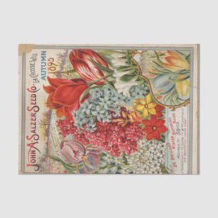 Papel De Seda Catálogo de Sementes de Vintage de John Salzer Aut