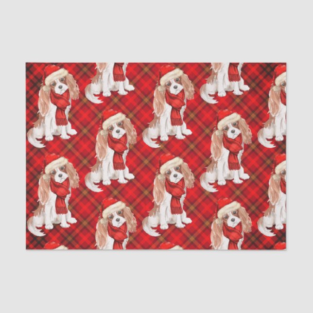 Papel De Seda Cavaleiro da Xadrez Vermelha King Charles Dog Nata (Frente )