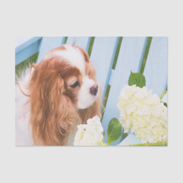 Papel De Seda Cavalier King Charles Spaniel Com Hydrangeas (Frente )