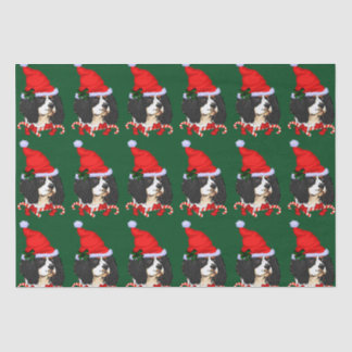 Papel De Seda Cavalier King Charles Spaniel Natal