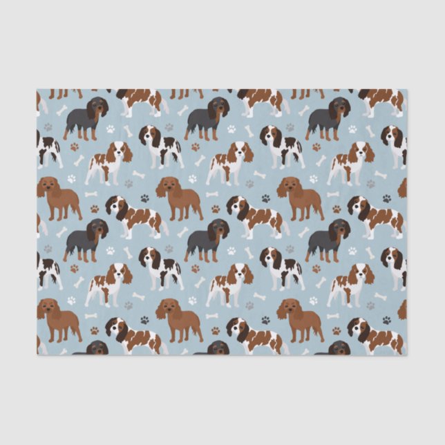Papel De Seda Cavalier King Charles Spaniel Paws e Bones (Frente )