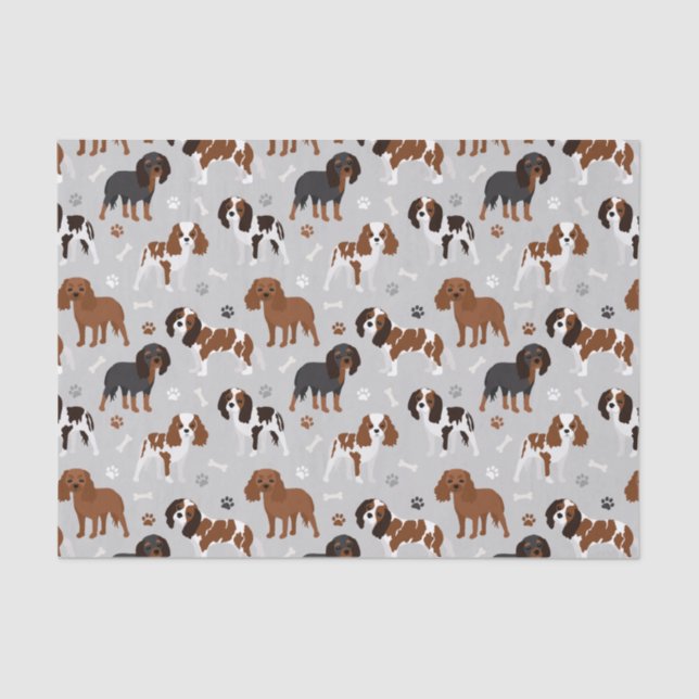 Papel De Seda Cavalier King Charles Spaniel Paws e Bones Tissue (Frente )