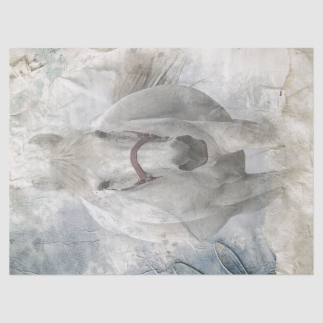 Papel De Seda Cavalo Branco (Frente )