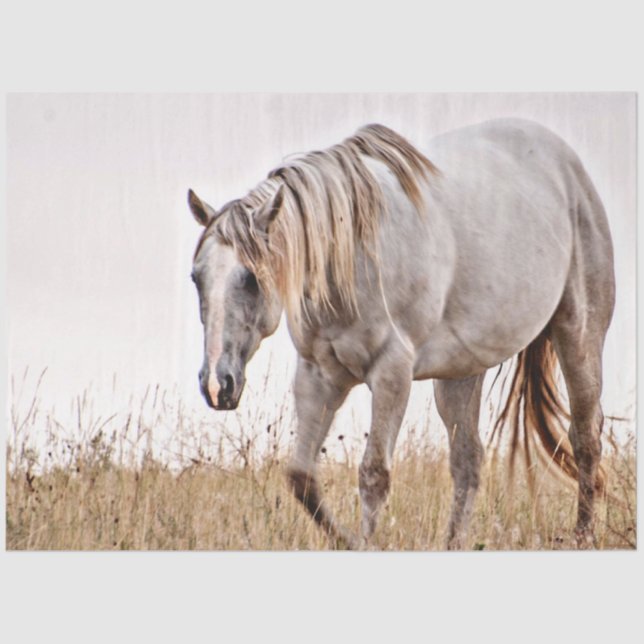 Papel De Seda cavalo branco (Frente )