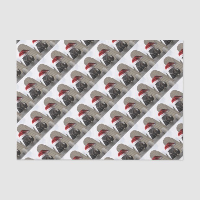 Papel De Seda Cavalo com Santa Hat (Frente )