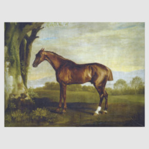 Papel De Seda Cavalo de Arroz de Castanha em Paisagem (George St