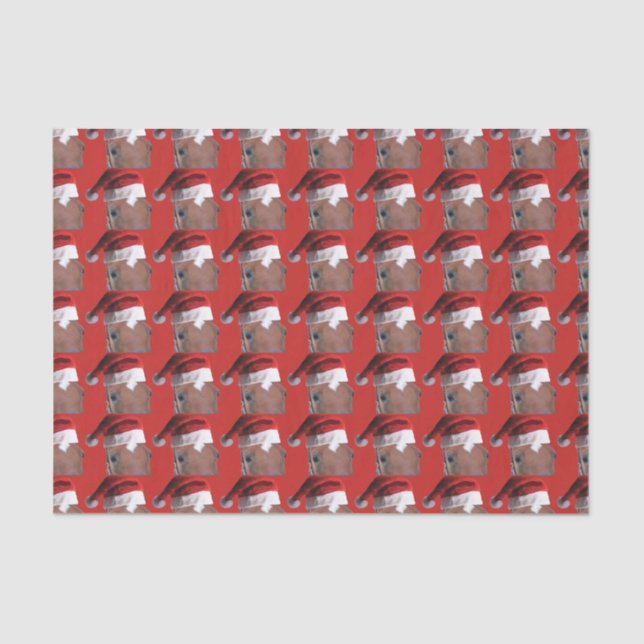 Papel De Seda Cavalo de Natal do Papai Noel (Frente )