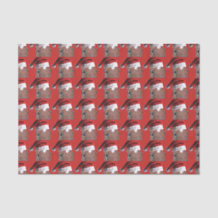 Papel De Seda Cavalo do Natal de Papai Noel