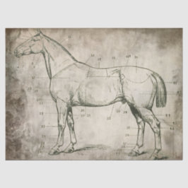 Papel De Seda Cavalo numerado