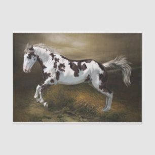 Papel De Seda Cavalo pintado tovero com moldura salpicada de cas