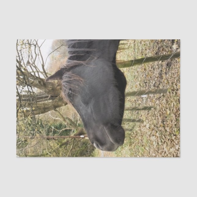 PAPEL DE SEDA CAVALO PRETO (Frente )