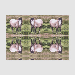 PAPEL DE SEDA CAVALOS