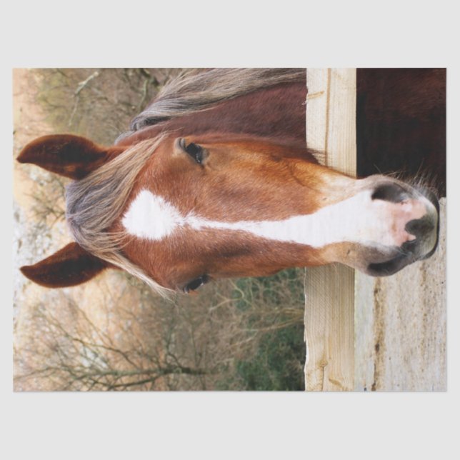 PAPEL DE SEDA CAVALOS (Frente )