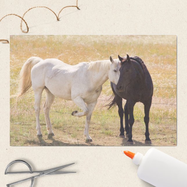 Papel De Seda Cavalos Adorantes (Criador carregado)