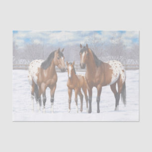 Papel De Seda Cavalos Appaloosa Da Baía De Brown Em Neve