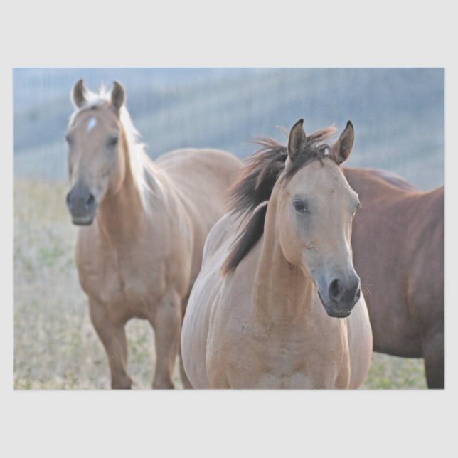 Papel De Seda Cavalos Coloridos (Frente )