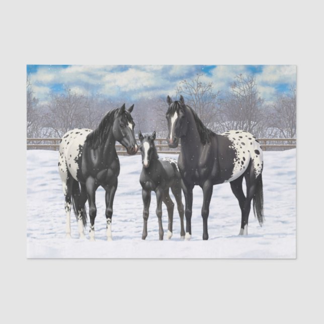 Papel De Seda Cavalos de Appaloosa Pretos Na Neve (Frente )