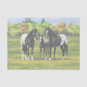 Papel De Seda Cavalos de Appaloosa Pretos Na Pastagem De Verão