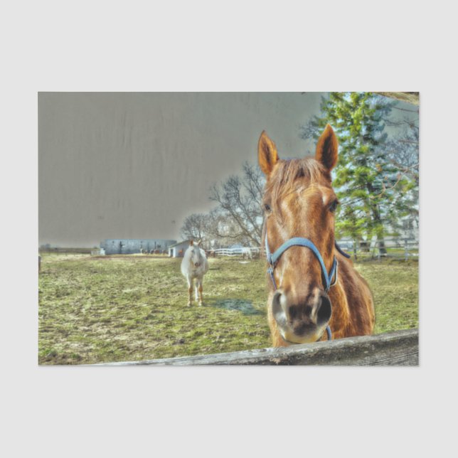 Papel De Seda Cavalos Decoupage País Rústico Ocidental Fazenda (Frente )
