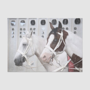 Papel De Seda Cavalos País Rústico Branco Marrom Ocidental