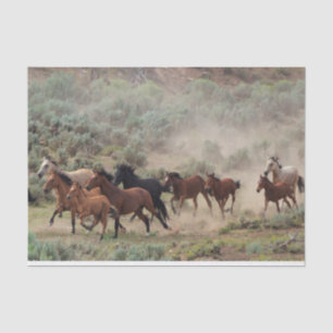 Papel De Seda Cavalos selvagens