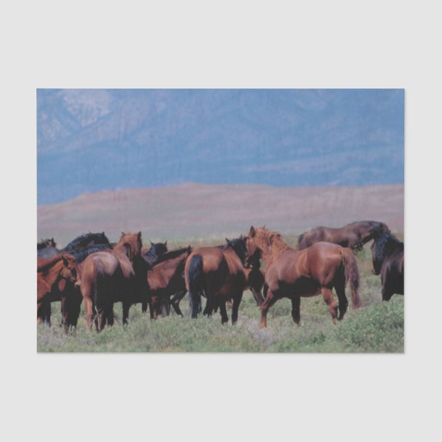 Papel De Seda Cavalos selvagens para fora para o oeste (Frente )