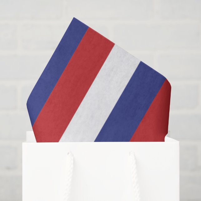 Papel De Seda Celebração de 4 de Julho (Sacola de presentes)