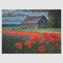 Celeiro e Papoulas em Tempo Instável