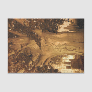 Papel De Seda Cemitério Vintage - Antiquado Folha de Árvore Sepi