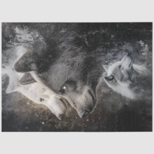 Papel De Seda Cena da Floresta de Abstrato de Desligar Lobos e U
