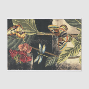 Papel De Seda Cena da Natureza Escura pelo Vision Studio