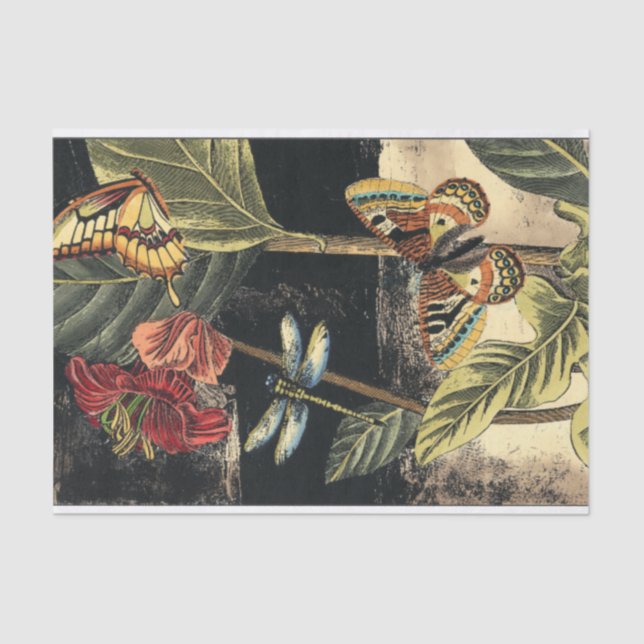 Papel De Seda Cena da Natureza Escura pelo Vision Studio (Frente )