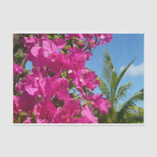 Papel De Seda Cena da Natureza Tropical de Bougainvillea e Palm