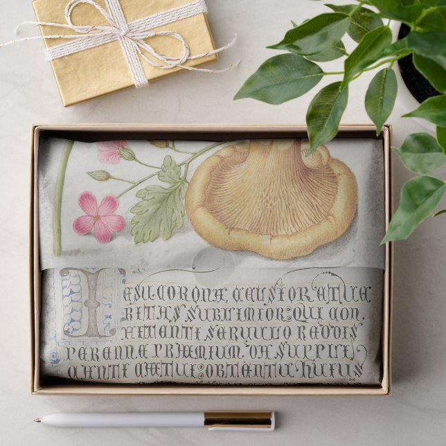 Papel De Seda Cena de jardim com flores, borboleta e cogumelo (Presente)