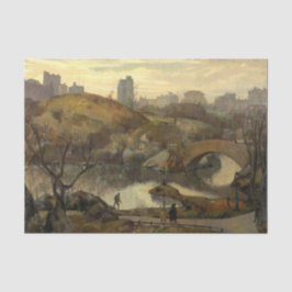 Papel De Seda Cena no Central Park (Nova Iorque, NY, EUA)