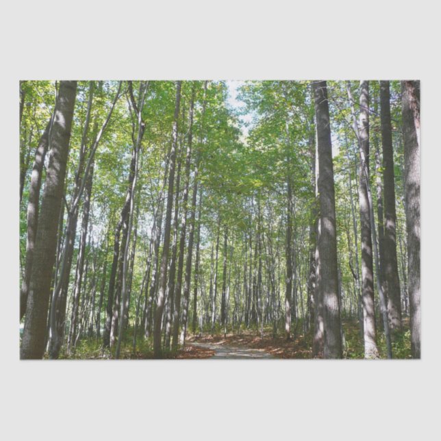 Papel De Seda Centennial Wooded Path II Ellicott City Maryland (Frente )