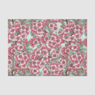 Papel De Seda Cereja floresce em rosa e menta