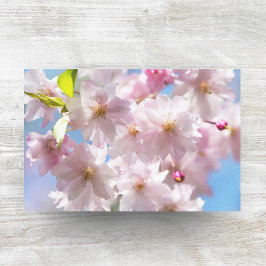 Papel De Seda Cerejeiras na Primavera