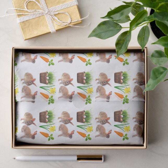 Papel De Seda Cesta de Feriado de Páscoa Clássica do Coelho com  (Presente)