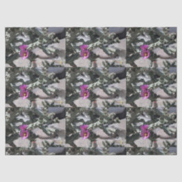 Papel De Seda Challa Cactus em flor