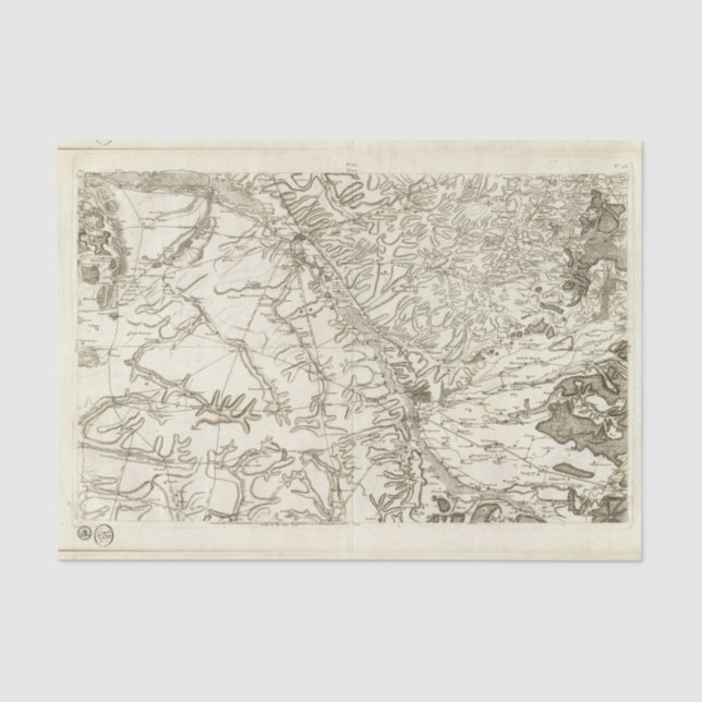 Papel De Seda Chalonsen Champagne (Frente )