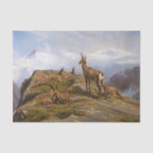 Chamois Goats nas montanhas (por Rosa Bonheur)