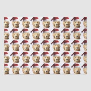 Papel De Seda Chapéu de Papai Noel do golden retriever